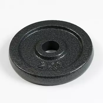 Диск 2 кг, d=29 мм