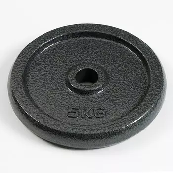 Диск 5 кг, d=29 мм