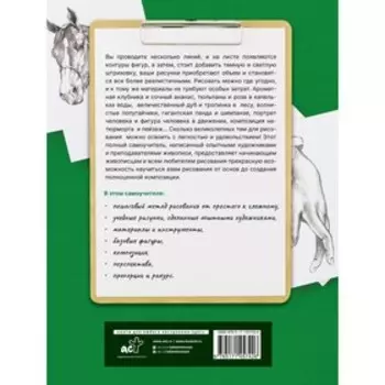Для начинающих. Полный гид по рисованию