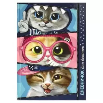 Дневничок для девочек 145 х 205мм 48 листов "Сквозь розовые очки", твёрдая обложка, глянцевая ламинация, тиснение фольгой, блок офсет 80г/м2