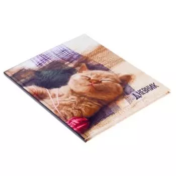 Дневник школьный для 1-4 классов, «Котёнок», твёрдая обложка 7БЦ, глянцевая ламинация, 48 листов