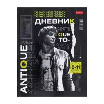 Дневник для 5-11 классов "Давид 2023", твёрдая обложка, глянцевая ламинация, 48 листов