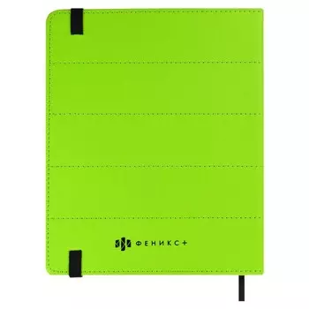 Дневник школьный для 1-11 классов "Арпатек салатовый", твёрдая обложка с поролоном из искусственной кожи, стёганая строчка, шелкография, застёжка-резинка, 48 листов, блок офсет 80г/м2, универсальная шпаргалка