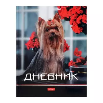 Дневник твердая обложка 1-11 класс 40 листов, Милый йорк, глянцевая ламинация