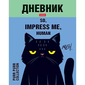 Дневник универсальный для 1-11 класса "Удиви меня", интегральная обложка, глянцевая ламинация, 40 листов