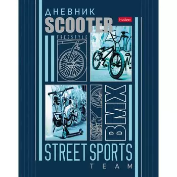 Дневник универсальный для 1-11 класса, Sport Team, твердая обложка, металлик, выборочный лак, 40 листов