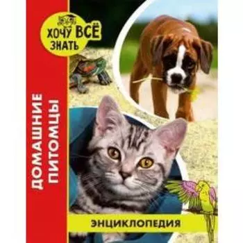 Домашние питомцы. Калугина Л.