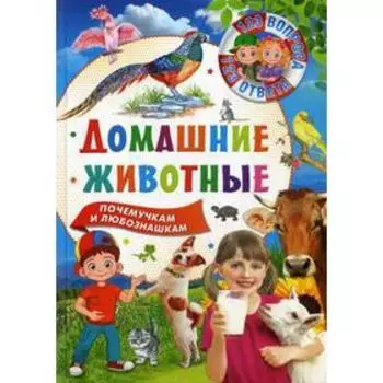 Домашние животные