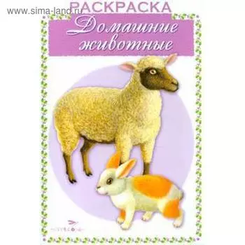 Домашние животные