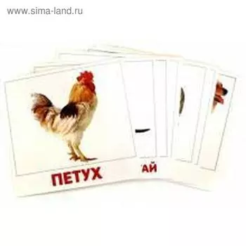 Домашние животные. Доман Г.