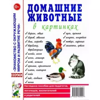 Домашние животные в картинках