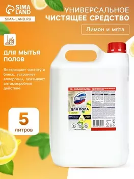 DOMESTOS средство для пола, чистота и блеск 5Л
