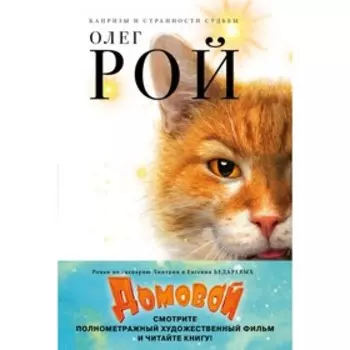 Домовой. Рой О. Ю.