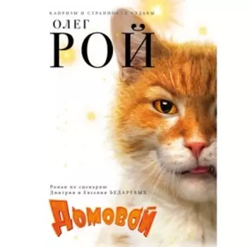 Домовой. Рой Олег
