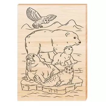 Доска для выжигания «Жители Арктики», А4, европодвес