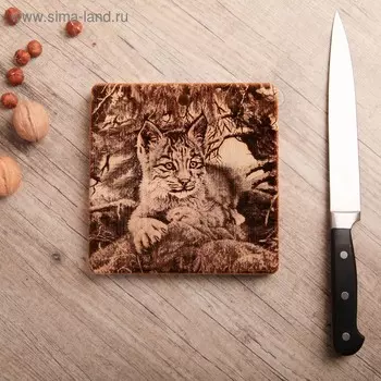 Доска разделочная из массива кедра «Рысь», квадратная, 1818 см