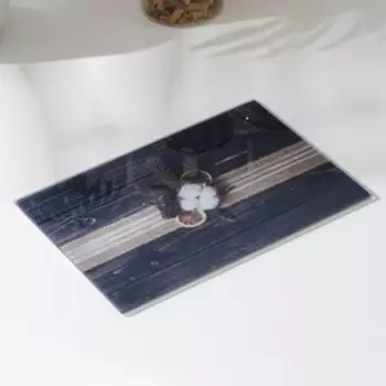 Доска разделочная стеклянная Доляна «Домашний уют», 3020 см