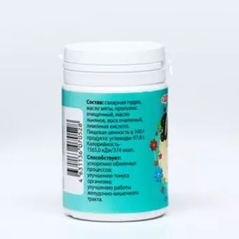 Драже с мятой, при изжоге, астме, воспалительных процессах в бронхах, 60 г