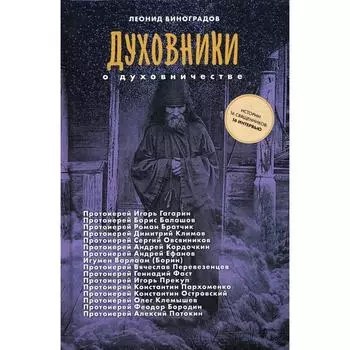Духовники о духовничестве. Шестнадцать бесед со священниками. Виноградов Л.