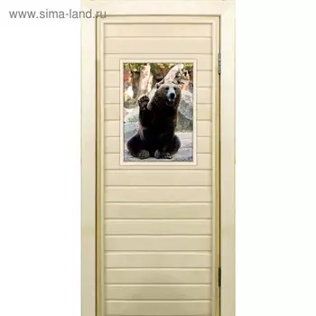 Дверь для бани со стеклом (40*60), "Медведь-3", 17070см, коробка из осины