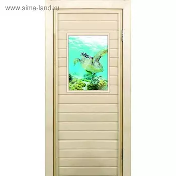 Дверь для бани со стеклом (40*60), "Черепаха-1", 19070см, коробка из осины