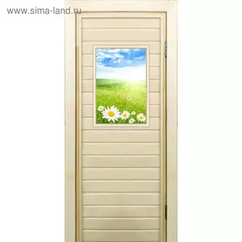 Дверь для бани со стеклом (40*60), "Ромашки", 19070см, коробка из осины