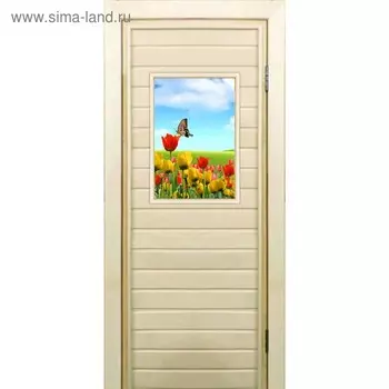 Дверь для бани со стеклом (40*60), "Бабочка", 19070см, коробка из осины