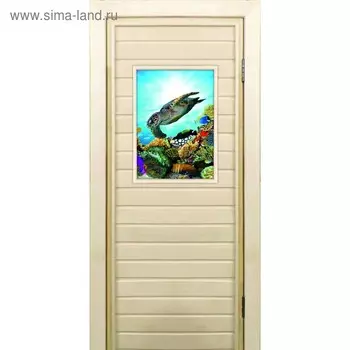 Дверь для бани со стеклом (40*60), "Черепаха-2", 18070см, коробка из осины