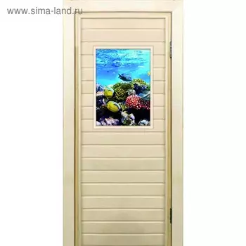 Дверь для бани со стеклом (40*60), "Кораллы-2", 17070см, коробка из осины
