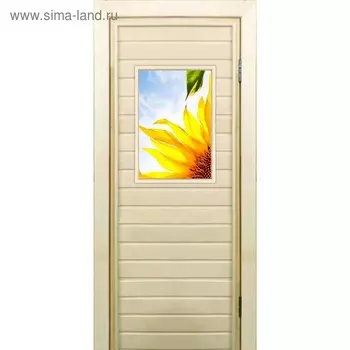 Дверь для бани со стеклом (40*60), "Подсолнух", 17070см, коробка из осины