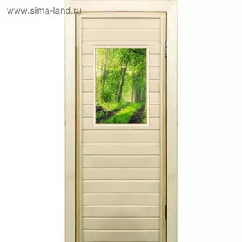 Дверь для бани со стеклом (40*60), "Лес", 17070см, коробка из осины