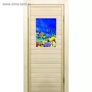 Дверь для бани со стеклом (40*60), "Кораллы-3", 17070см, коробка из осины