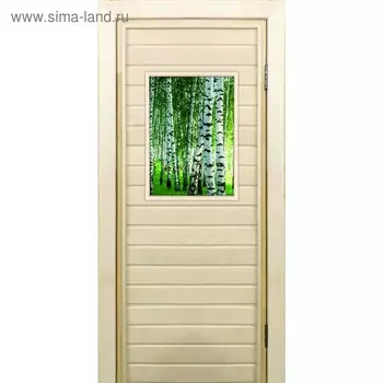 Дверь для бани со стеклом (40*60), "Березки", 18070см, коробка из осины