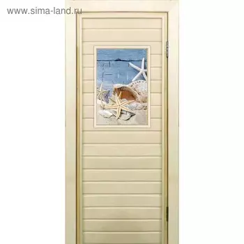 Дверь для бани со стеклом (40*60), "Ракушки", 19070см, коробка из осины
