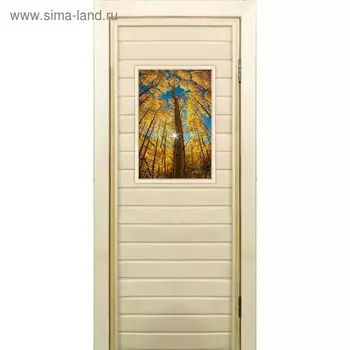 Дверь для бани со стеклом (40*60), "Осенний лес", 17070см, коробка из осины