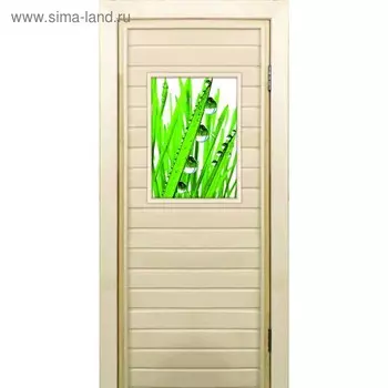 Дверь для бани со стеклом (40*60), "Капли", 17070см, коробка из осины