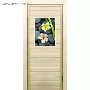 Дверь для бани со стеклом (40*60), "Орхидеи", 19070см, коробка из осины