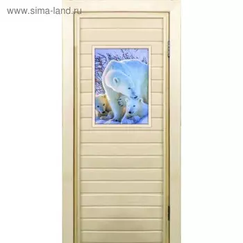 Дверь для бани со стеклом (40*60), "Белые медведи", 17070см, коробка из осины