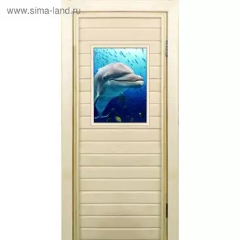 Дверь для бани со стеклом (40*60), "Дельфин", 18070см, коробка из осины