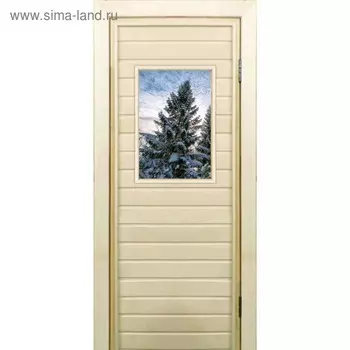 Дверь для бани со стеклом (40*60), "Ель", 17070см, коробка из осины