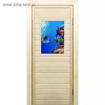 Дверь для бани со стеклом (40*60), "Кораллы-1", 17070см, коробка из осины