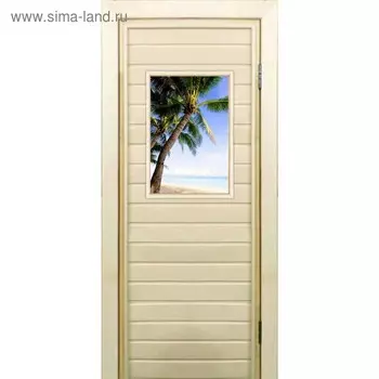 Дверь для бани со стеклом (40*60), "Пальмы-1", 19070см, коробка из осины