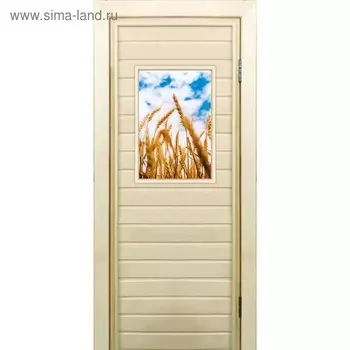 Дверь для бани со стеклом (40*60), "Пшеница-1", 19070см, коробка из осины