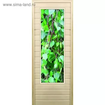 Дверь для бани со стеклом (43*129), "Березка", 19070см, коробка из осины