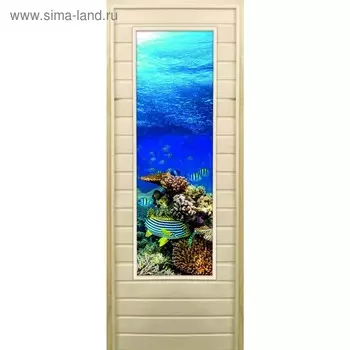 Дверь для бани со стеклом (43*129), "Риф", 18070см, коробка из осины