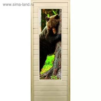 Дверь для бани со стеклом (43*129), "Медведь-4", 18070см, коробка из осины