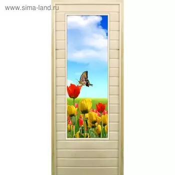 Дверь для бани со стеклом (43*129), "Бабочка", 18070см, коробка из осины