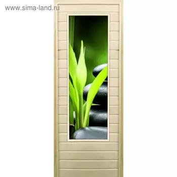 Дверь для бани со стеклом (43*129), "Галька-2", 17070см, коробка из осины