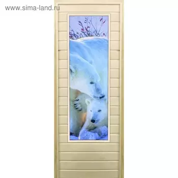 Дверь для бани со стеклом (43*129), "Белые медведи", 19070см, коробка из осины
