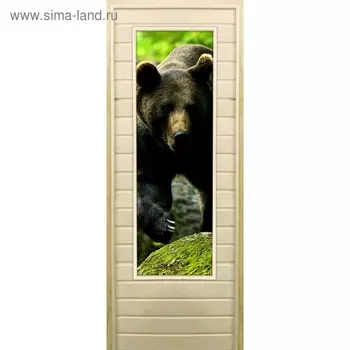 Дверь для бани со стеклом (43*129), "Медведь-1", 17070см, коробка из осины